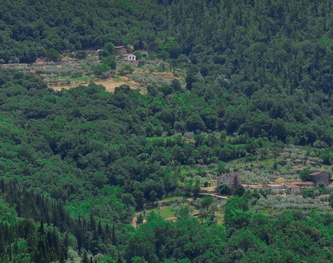 Villa Ancora Tenuta Lonciano Gualdo  エクステリア 写真